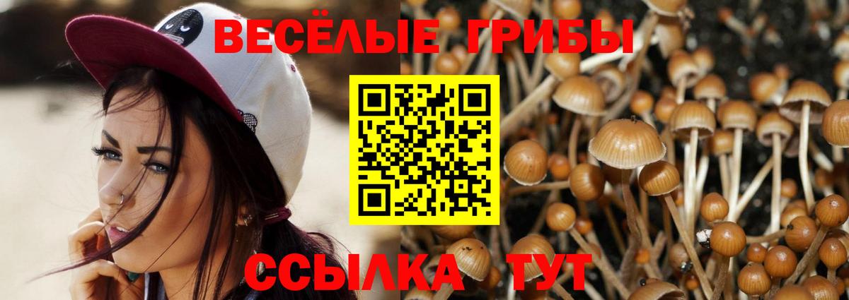 Псилоцибиновые грибы Magic Shrooms Свободный